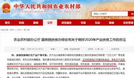 民间实时爆料网站大全最新,揭秘最新热点事件，洞察社会动态