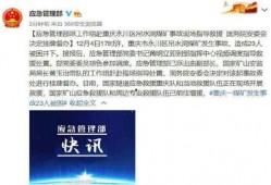 重庆最新爆料新闻,神秘事件引发全城热议