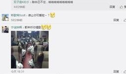 李传钊微博最新爆料