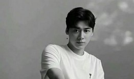 李易峰最新爆料官方,揭秘娱乐圈背后的惊人真相！