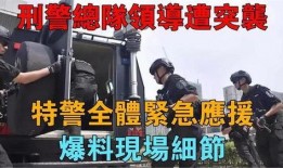 刑警爆料重大事故案例最新,惊心动魄的特大交通事故案背后真相