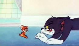 老板爆料杰瑞视频大全最新,杰瑞视频大全最新动态，精彩内容抢先看！