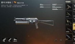 最新爆料升级枪