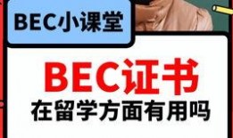 吃瓜最新爆料视频大全,最新爆料视频大盘点