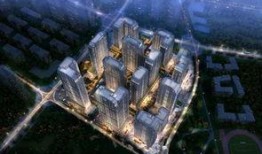 昆明海豚湾爆料视频最新,真相令人震惊！