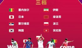 世界杯爆料最新结果公布,世界杯最新结果揭晓！