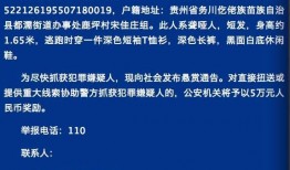 珠海金湾爆料案件最新情况,疑点重重，真相渐明