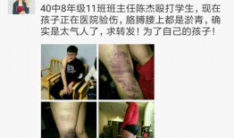 陈老师最新爆料视频大全,揭秘幕后真相