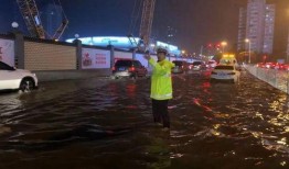 刑警爆料重大事故案例最新,惊心动魄的特大交通事故案背后真相