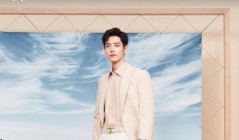 有关肖战八卦爆料最新,揭秘娱乐圈最新八卦爆料