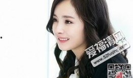 杨幂最新消息爆料事件,揭秘娱乐圈背后的惊人真相