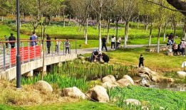 武汉英雄城爆料案件最新,惊天大案背后真相揭晓