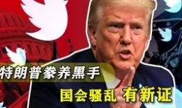 沈猛最新爆料梅子,梅子背后惊人真相揭露