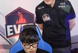 白衣教练最新爆料,最新爆料背后的真相与内幕