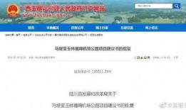 广西容县爆料新闻最新,神秘事件引发热议，真相即将揭晓