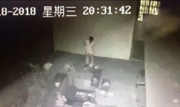 大盗爆料视频大全最新
