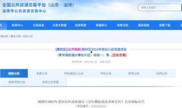 淄博最新爆料,揭秘城市蜕变背后的故事