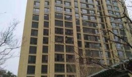 淄博民宿爆料案件最新,揭开行业乱象背后的真相