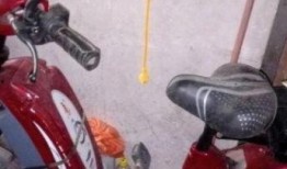 深圳电动车最新爆料,最新爆料揭示未来出行变革趋势