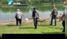 郑州医美爆料事件视频最新,揭秘行业黑幕，真相令人震惊