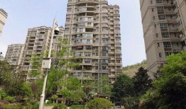 碧桂园爆料最新消息德阳,揭秘项目进展与未来规划