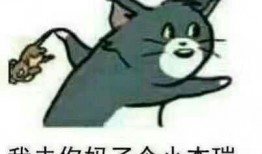 老板爆料杰瑞视频大全最新,杰瑞视频大全最新动态，精彩内容抢先看！