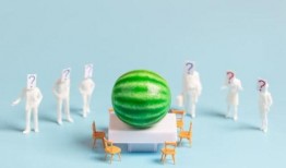 吃瓜最新爆料视频大全,最新爆料视频大盘点