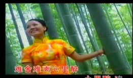 竹都美最新爆料,揭秘明星幕后故事与时尚潮流新动向