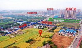 碧桂园爆料最新消息德阳,揭秘项目进展与未来规划