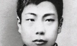 鲁迅最新爆料新闻视频大全,揭秘历史真相与时代风云