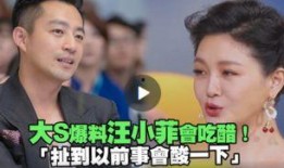 汪小菲在开会最新爆料,揭秘公司内部会议惊人内幕