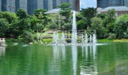 潮州恒大城最新爆料,揭秘高端住宅区的华丽蜕变与未来潜力