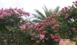 玉林江南公园最新爆料