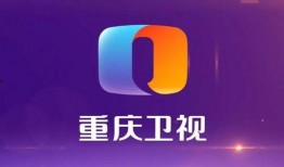 重庆卫视爆料最新消息,揭秘重大事件背后真相！