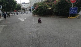 四川攀枝花婴儿最新爆料,真相即将揭晓